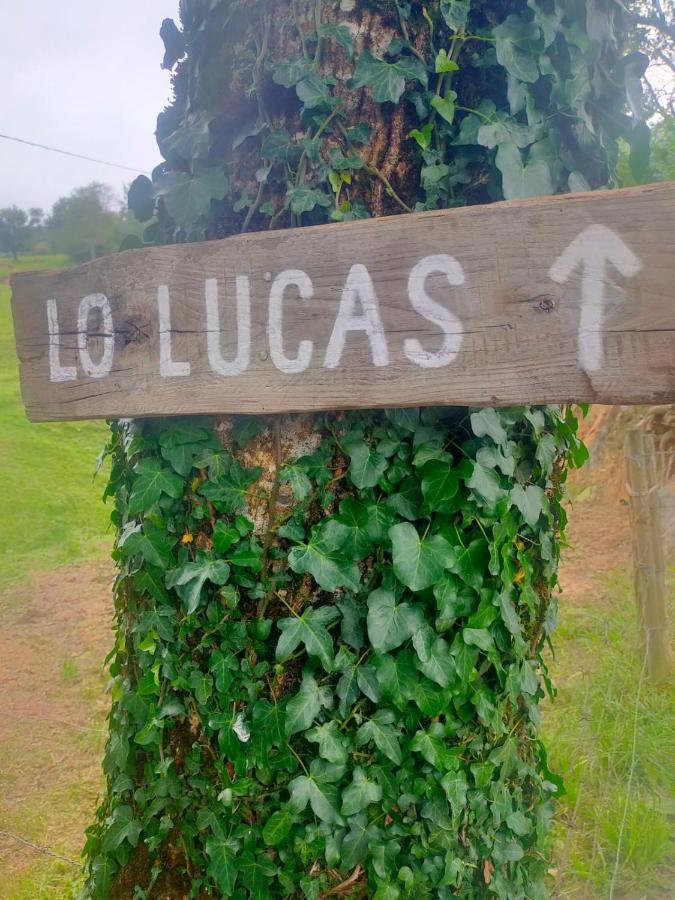 Vivienda Pasiega Lo Lucas 1920 San Roque de Riomiera Ngoại thất bức ảnh